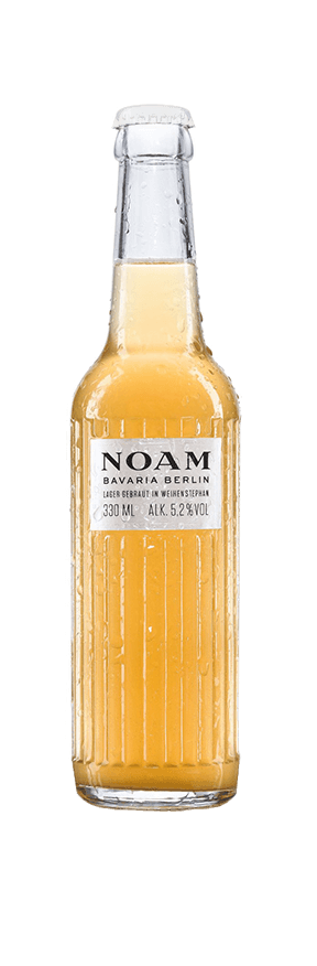 Noam Beer