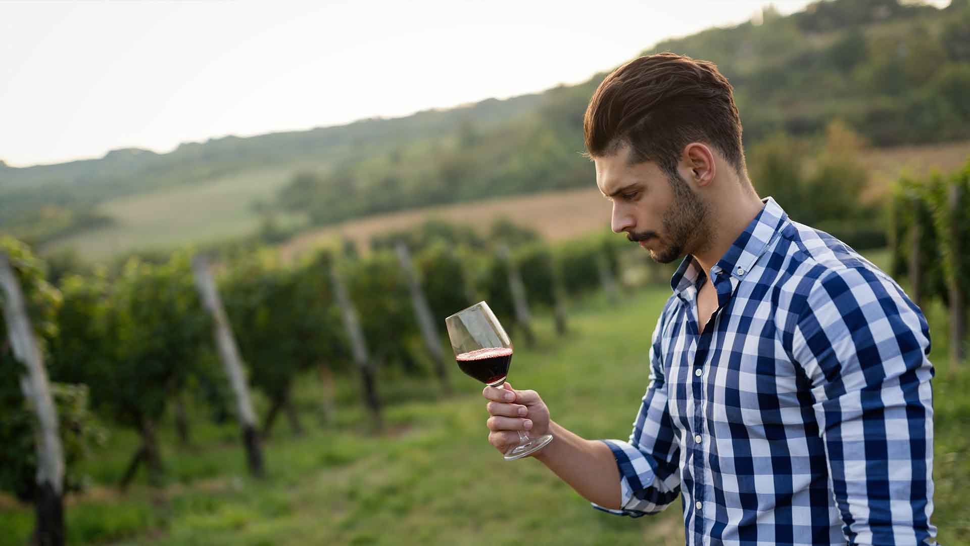winegrower-tasting-wine-in-vineyard